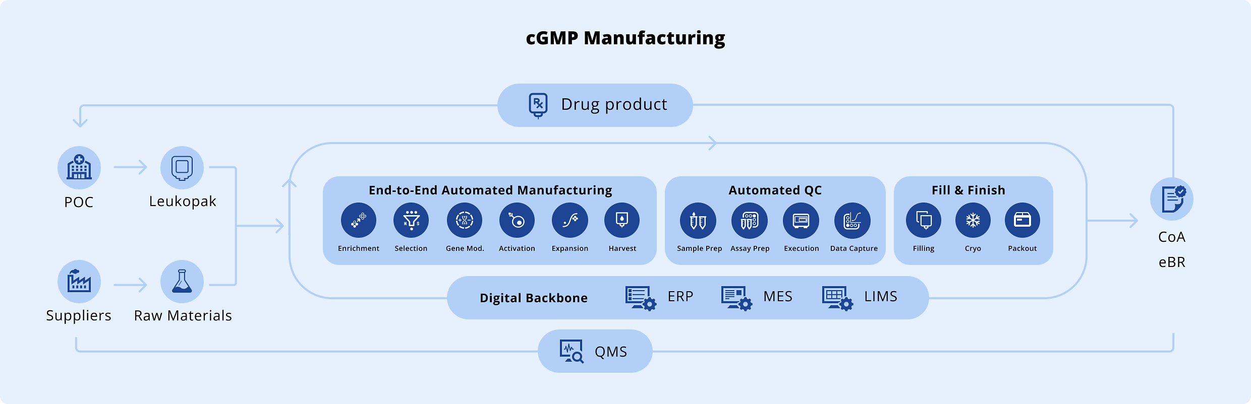 cGMP Manufacturing